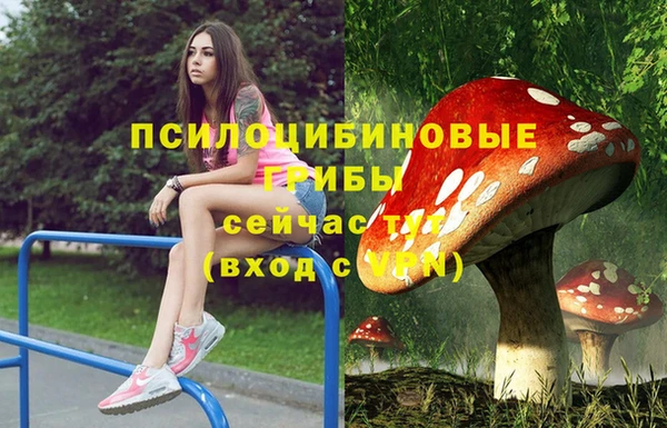 экстази Алзамай