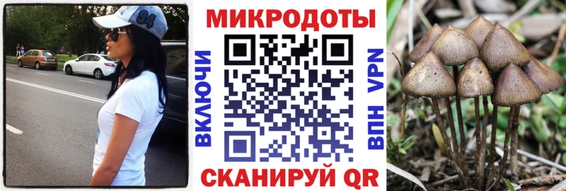 Псилоцибиновые грибы ЛСД  закладка  Нефтекумск 